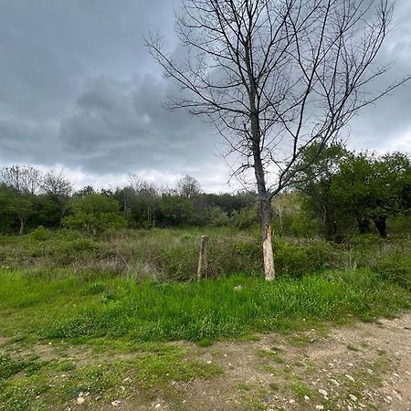 Къмпинг Частен Двор Bulgarian Campsite For Tents Kazanlak Exterior photo